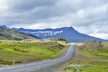 Picturesque road in eastern Iceland with meadow and mountain
