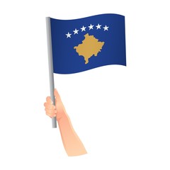 Kosovo flag in hand icon