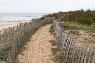Fototapeta na wymiar Beach access wooden fence protecting the dune by the seaside