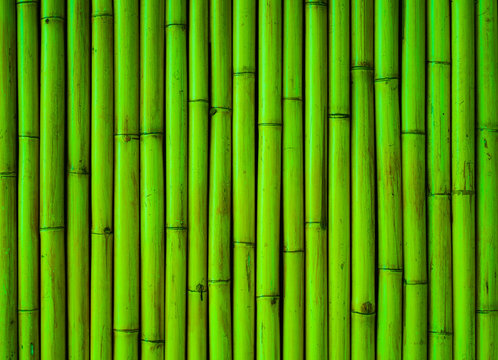 bamboo background tree plant green pattern