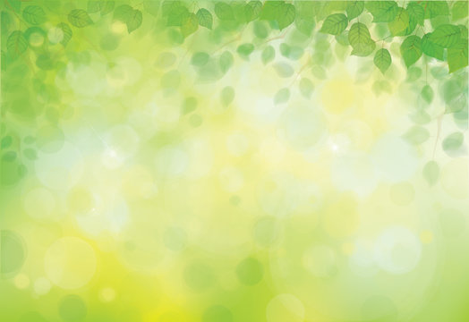 Vector green, bokeh background with green leaves  border.