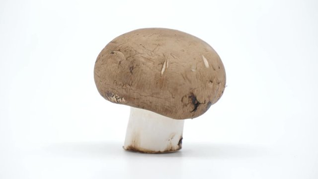 swiss brown mushrooms organic, healthy food ,health care eat vegetables and useful foods.
