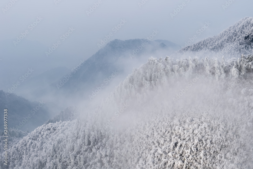 Sticker winter mountain forest background