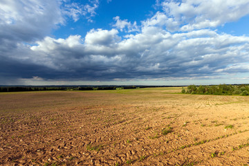 Fototapeta na wymiar Empty agricultural field
