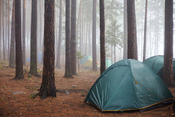 Tourist green tent in the fog in the forest.