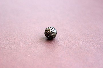 brown bead on brown background