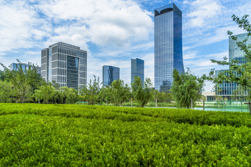 Obraz premium beautiful green meadow near modern office building.
