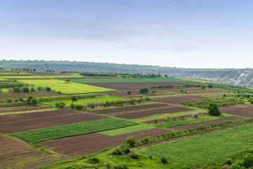 Fototapeta na wymiar Aerial view of agricultural fields photo
