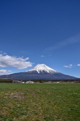 富士山と草原～Mt.Fuji and Grassland.