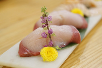 Hamachi Sushi (Yellowtail fish or Amberjack fish) served with wasabi and ginger, Traditional Japanese Food.