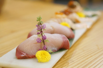 Hamachi Sushi (Yellowtail fish or Amberjack fish) served with wasabi and ginger, Traditional Japanese Food.