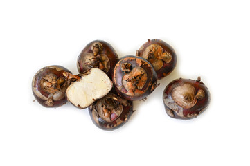 Chinese water chestnut on white background - isolated