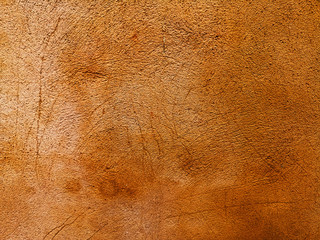 highly Detailed grunge background with space for your design