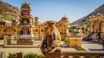 Fotobehang Jaipur Rajasthan India © Mohd