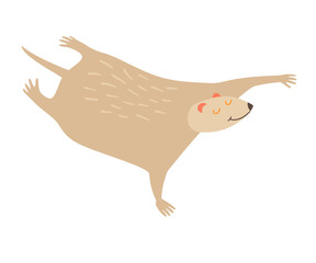 Colugo dolphin icon vector illustration. Cartoon style partridge mammals, isolated on a white background