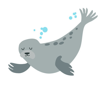 Mediterranean monk seal icon vector illustration. Cartoon style partridge animals, isolated on a white background
