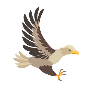 White-tailed eagle icon vector illustration. Cartoon style bird, isolated on a white background