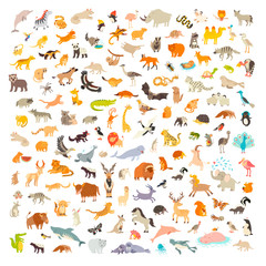 Mammals of the world. Animals and birds cartoon style, mammals icon. Animals vector. Extra big animals set. Vector illustration, isolated on a white background