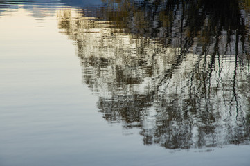 Obraz na płótnie Canvas Reflection of autumn tree in calm lake background.