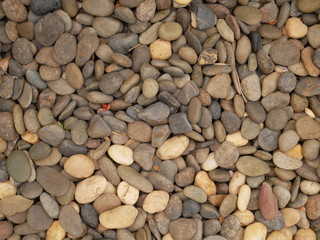 nature pebbles beach stone background