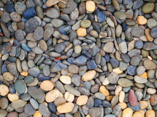 nature pebbles beach stone background