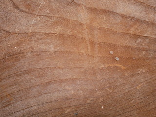 Obraz premium wood texture background