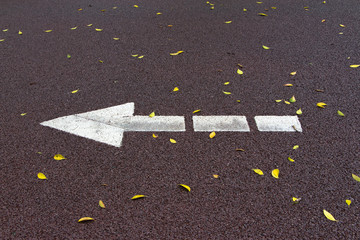 Fototapeta premium Fallen leaves and white arrow marks on red asphalt runway in autumn park