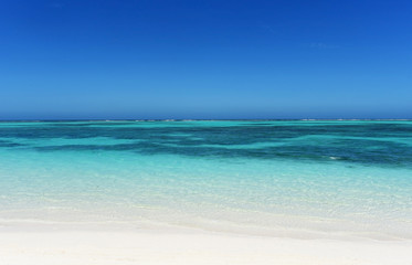 Fototapeta premium sea