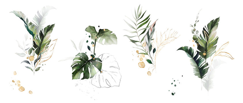  watercolor and gold leaves. herbal illustration. Botanic tropic composition. Exotic modern design © lisima