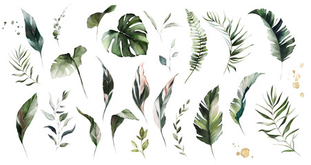 set watercolor leaves - monstera, banana palm, fern. herbal illustration. Botanic tropic composition.  Exotic modern design © lisima