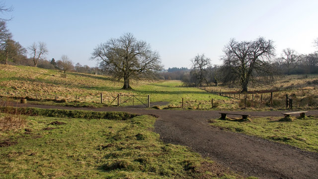 Paths, wooden benches, gate, trees and grass areas in a country park.