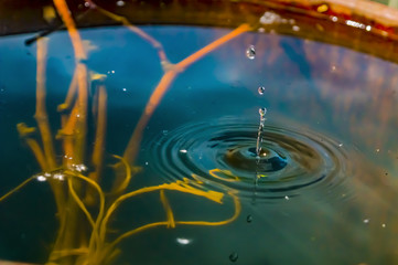 drop