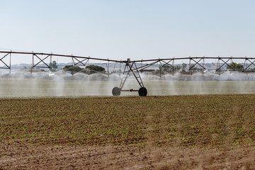 Irrigation System Corn Field