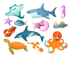 Sea and river underwater animals. Different sea animals fish