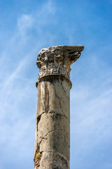 Column with capital in Corinthian style - Ostia Antica Rome
