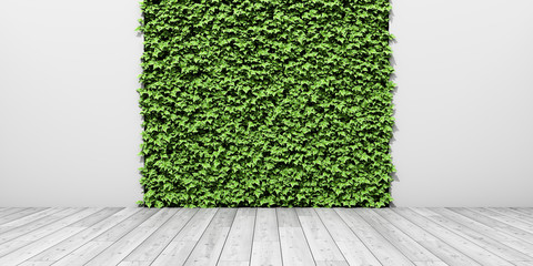 Green fresh vertical garden on wall