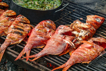 Preparing red fishes and vegetables on the Grill
