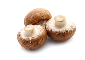 champignon mushrooms on white background