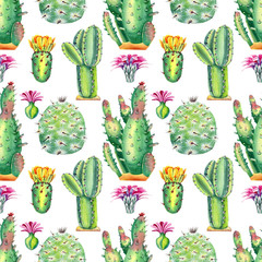 Seamless pattern with cactus and succulents  on a white background . Hand painted in watercolor.