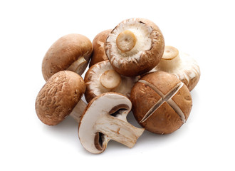 champignon mushrooms on white background