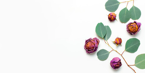 Flat lay flowers composition. Dried rose flowers and sprigs of eucalyptus on white background top view copy space. Flowers background. Design element for greeting card