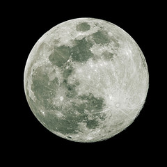 A full moon isolated against a black night sky in high resolution with fine details on the surface with blue tones