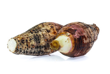 taro isolated on white background