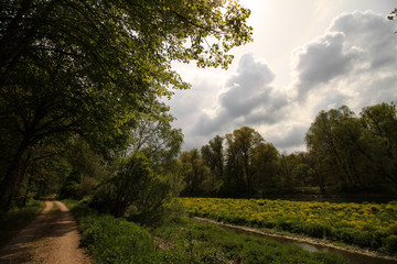 Isar-Radweg in Langenbach (Oberbayern)
