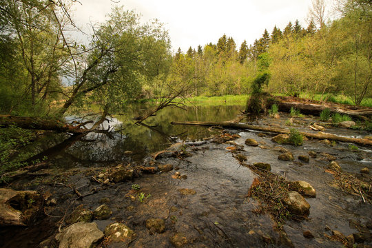 Die Moosach bei Oberhummel in Bayern