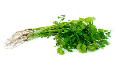 Bunch of fresh coriander leaves over white background