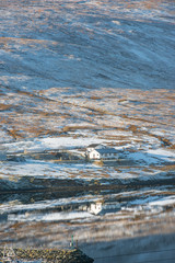 Shetland