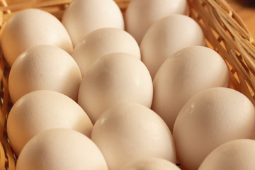 Fresh white chicken eggs freshly picked