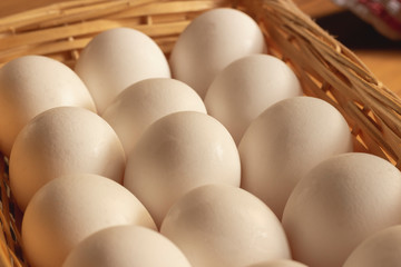 Fresh white chicken eggs freshly picked