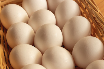 Fresh white chicken eggs freshly picked
